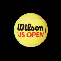 ウイルソン Wilson テニスアクセサリー US OPEN 5 ミニジャンボTボール WRT1415U