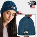 ザ・ノース・フェイス USAモデル ロゴ ビーニー ニットキャップ THE NORTH FACE LOGO BOX CUFFED BEANIE 【9706498...