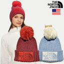 ザ・ノース・フェイス USAモデル ロゴ ビーニー ニットキャップ THE NORTH FACE HERITAGE SKI TUKE BEANIE【970650...