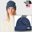 ザ・ノース・フェイス USAモデル ロゴ ビーニー ニットキャップ THE NORTH FACE SALTY LINED BEANIE【9706498259-m...