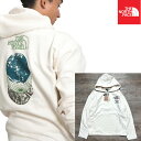 【正規品】【USAモデル】The North Face USAモデル Earth Day Relaxed Fit Hoodie ノースフェイス USAモデル メンズ ロゴ プルオーバーパーカー【9657173029-unb】swqa