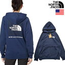 The North Face Women's BOX NSE HOODIE ノースフェイス USAモデル レディース プルオーバーパーカー sqa