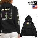 ザ・ノース・フェイス 【正規品】【USAモデル】The North Face Women's Brand Proud Hoodie ノースフェイス USAモデル レディース プルオーバーパーカー 【9657358241-blk】sqa