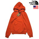 The North Face Fine Alpine Hoodie ノースフェイス USAモデル メンズ プルオーバーパーカーsqa