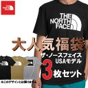ザ・ノース・フェイス THE NORTH FACE USAモデル メンズ Tシャツ 3枚セット 福袋【ad870】qs