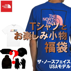 The North Face USAモデル ノースフェイス メンズ Tシャツと秘密の小物 お楽しみ福袋【ad1524】