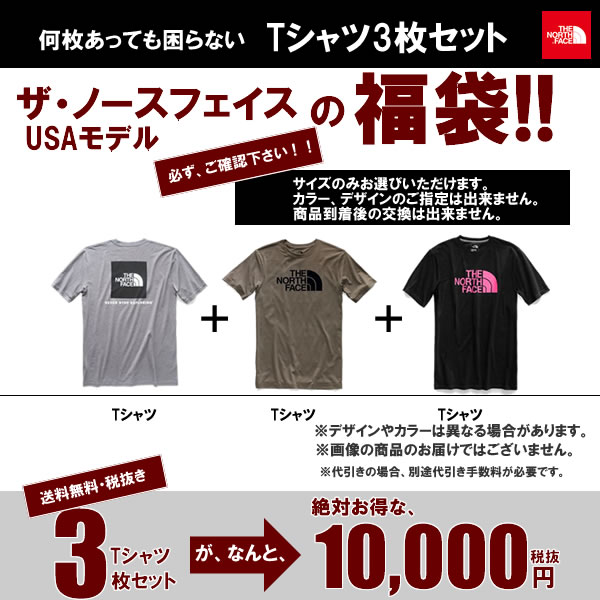 The North Face USAモデル ノースフェイス メンズ Tシャツ 3枚セット 福袋【ad870】