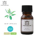 Prost Luxury Oil セージ・スパニッシュ 10ml ピュア エッセンシャルオイル アロマオイル 精油