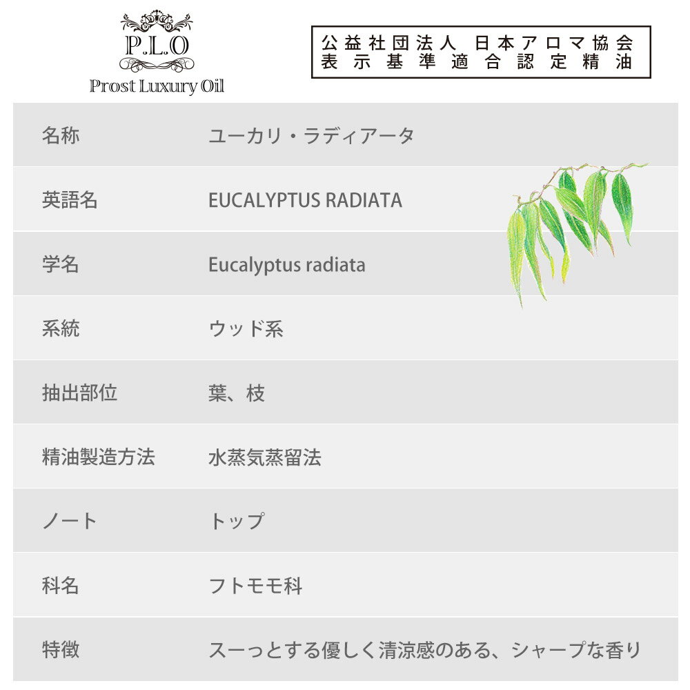 サンプル画像2