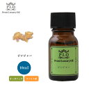 オーガニック Prost Luxury Oil ジンジャー 10ml エッセンシャルオイル アロマオイル 精油(4)