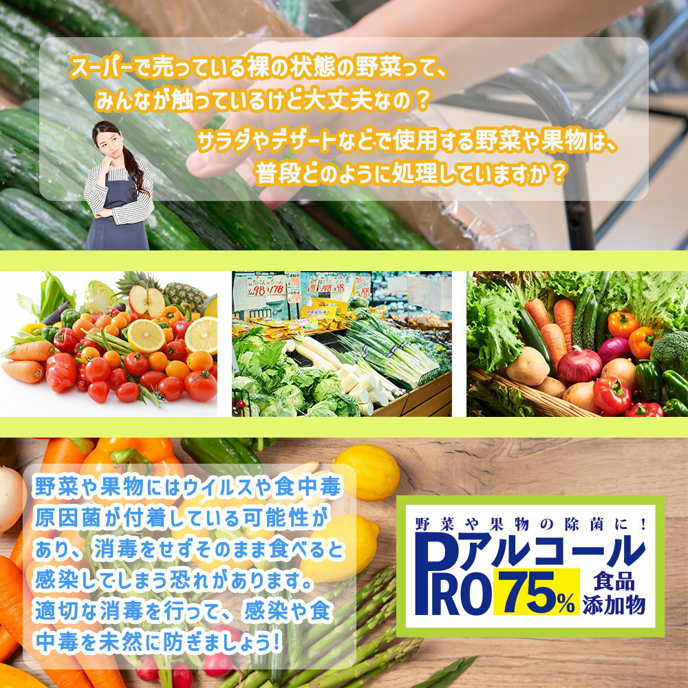 除菌 PRO アルコール 濃度75％ 食品添加物 4L/ 消毒 野菜除菌 エタノール 果物除菌 キッチン キッチン除菌