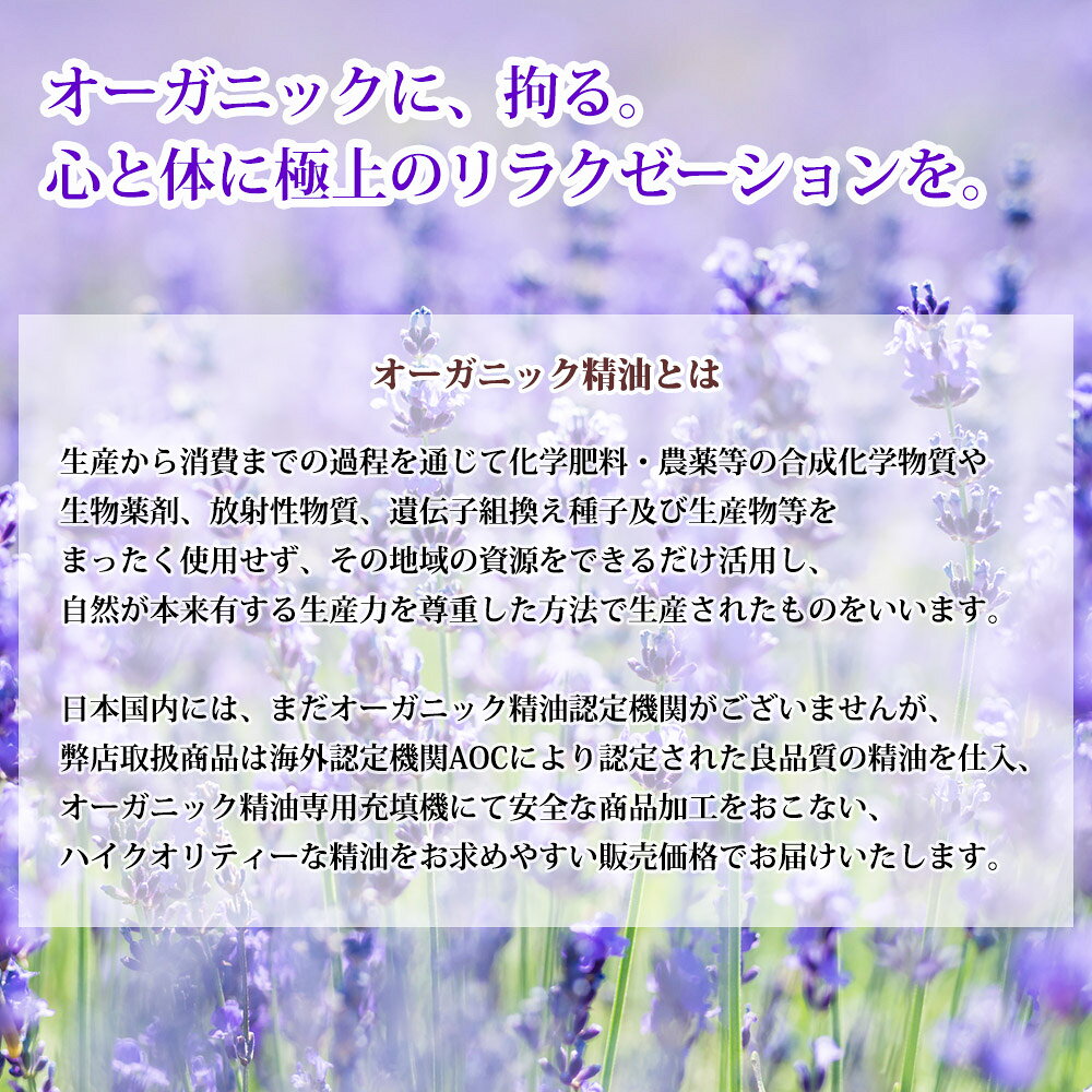 PROST プロフェッショナルストアのオーガニック Prost Luxury Oil ジュニパーベリー 50ml エッセンシャルオイル アロマオイル 精油 ディフューザーオイル 合成香料不使用 癒やし エッセンシャル オイル アロマテラピー 精油 ジュニパーベリー 精油 アロマ オイル｜アングル3