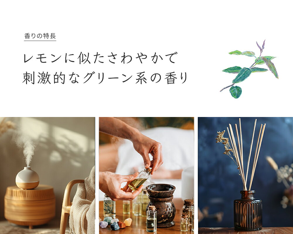 Prost Luxury Oil ユーカリ・レモン 5mlピュア エッセンシャルオイル アロマオイル 精油 天然成分100％ 合成香料不使用 癒し アロマバス 芳香浴 リラックスタイム リフレッシュ アロマバスエッセンス ピュアエッセンシャルオイル prost-2-10087265 PROST プロフェッショナルストア サンプル画像2