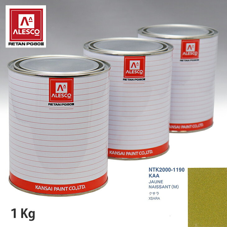 関西ペイント PG80 調色 シトロエン KAA JAUNE NAISSANT(M) 1kg（原液） スプレーガン 塗装 自動車塗装 自動車用塗料 スプレーガン用塗料 自動車ペイント