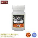 GFA グリッター フレーク マリーゴールド 60g / ラメ カスタム ネイル ゴールド ヘ...