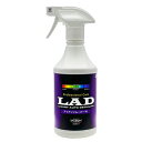 LAD(ラッド) アイアンリムーバー W (プロ用)