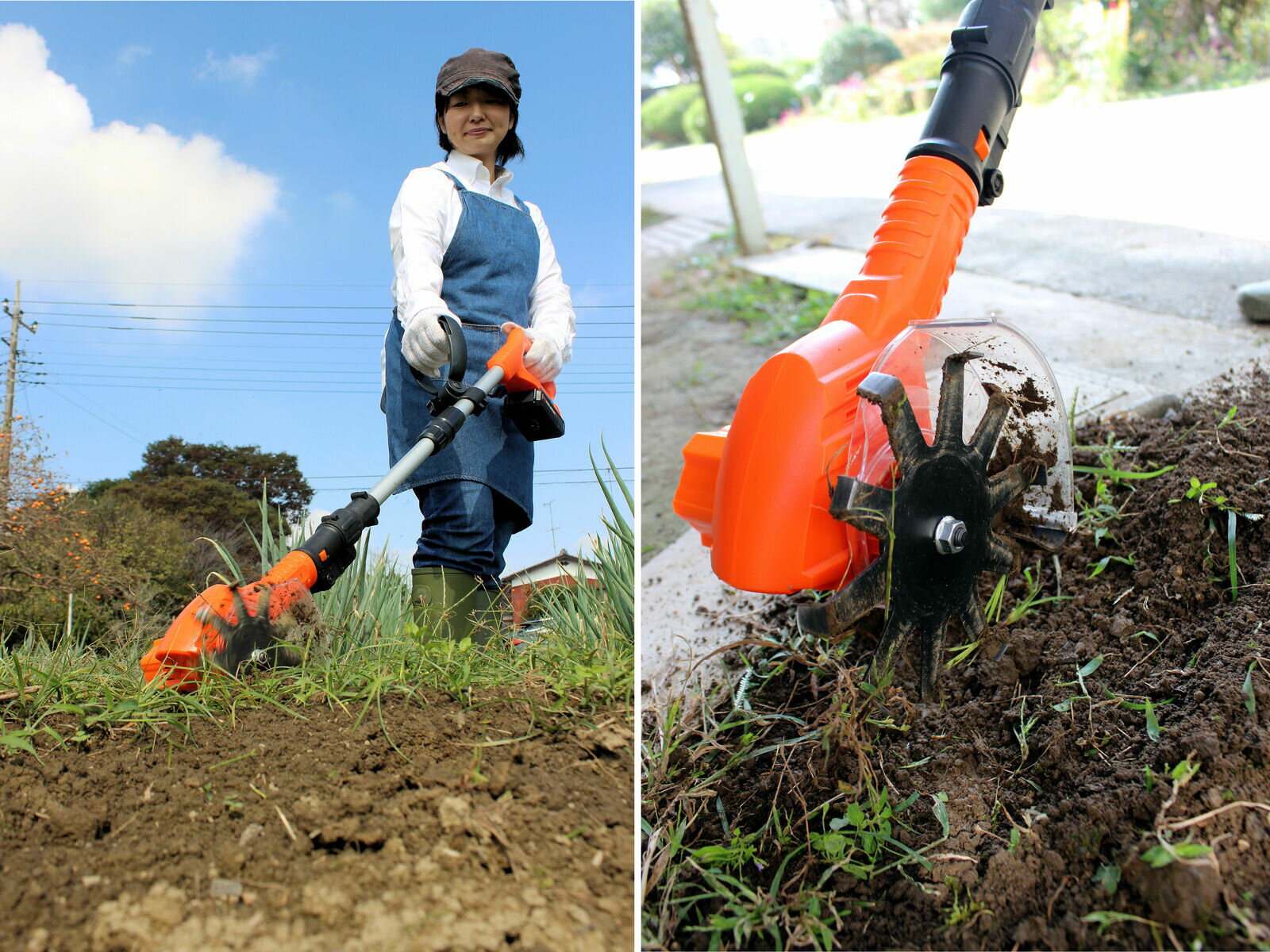 ��������297L�����ǥ�Хå���SUS�𽦤��ȥ󥰡�ɨ�ѥå�¾�աۡ�YARD FORCE 24V�����ɥ쥹 ���� �̱��� LAC25-JP 24V���ż� 1��2����̥�����߷� �����ڱ� ���� ���� ��� ���� ���� �Ŀͺ��� �� �䡼�ɥե�����