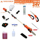 【便利な特典付属セット付】 YARD FORCE 24Vコードレス 高枝電動チェーンソー LSC17-JP OREGON 刃搭載 +【保護メガネ(切かす対策)・軍手・日本製チェーンソーオイル・ OREGON 純正丸ヤスリ・ノコギリ・結束ロープ付】 YARDFORCE ヤードフォース 【PROSTAR/Pack】