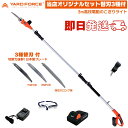 【オリジナル限定セット切れる替刃3種付】 YARD FORCE 24Vコードレス 3m 高枝電動のこぎり ライト LSC21P-JP 高枝切りノコギリ 高枝切り...