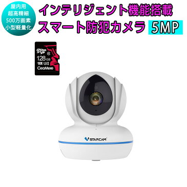 小型 防犯カメラ ワイヤレス C22Q SDカード128GB同梱モデル VStarcam 500万画素 ONVIF対応 超高画質 超高精細 wifi 無線 MicroSDカード録画 録音 ネット環境なくても電源繋ぐだけ 遠隔監視 赤ちゃん 子供 ペット 屋内用 IP カメラ PSE認証 6ヶ月保証