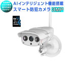 防犯カメラ ワイヤレス C16S SDカード32GB同梱モデル VStarcam 2K 1296p 300万画素 ONVIF対応 超高画質 超高精細 wifi 無線 MicroSDカード録画 録音 屋内 屋外兼用 遠隔監視 動体検知 人体検出 オフィス 店舗 赤ちゃん 子供 ペット IP 6ヶ月保証