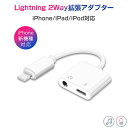 iPhone イヤホン 変換アダプタ イヤホ