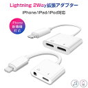 iPhone イヤホン 変換アダプタ イヤホンジャック 3.5mm充電しながら 音楽 同時 iPad iPod 最新iOS対応 拡張アダプター 急速充電 アイフ...