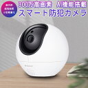 防犯カメラ ワイヤレス CS990 VStarcam 300万画素 ONVIF対応 AI機能搭載 高画質 高精細 wifi 無線 人型フレーミング 人体追跡 人体検知 動体検知 MicroSDカード録画 録音 遠隔監視 監視エリア設定 屋内用 PSE 技適 6ヶ月保証 SDL