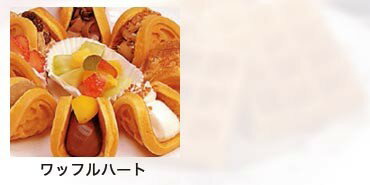 ����ƥå� ��åե�ϡ��� WH-2 2Ϣ�� ñ��100V