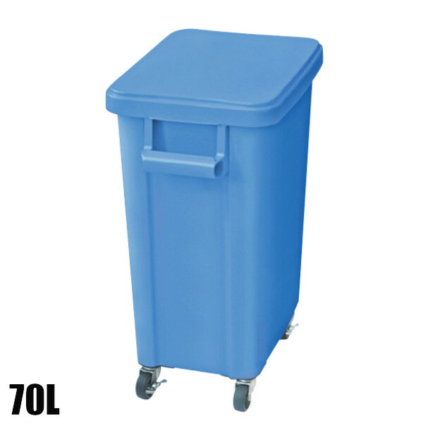 ꥹ ˼ѥ㥹ڡ ӿ 70L ֥롼 570350695