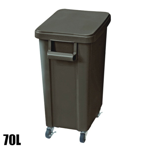 ꥹ ˼ѥ㥹ڡ ӿ 70L 졼 570350695