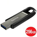 サンディスク USB3.1フラッシュメモリ 256GB Gen1 EXTREMEGO 400MB/s SDCZ810-256G-G46 USBメモリ SanDisk 海外リテール メール便送料無料