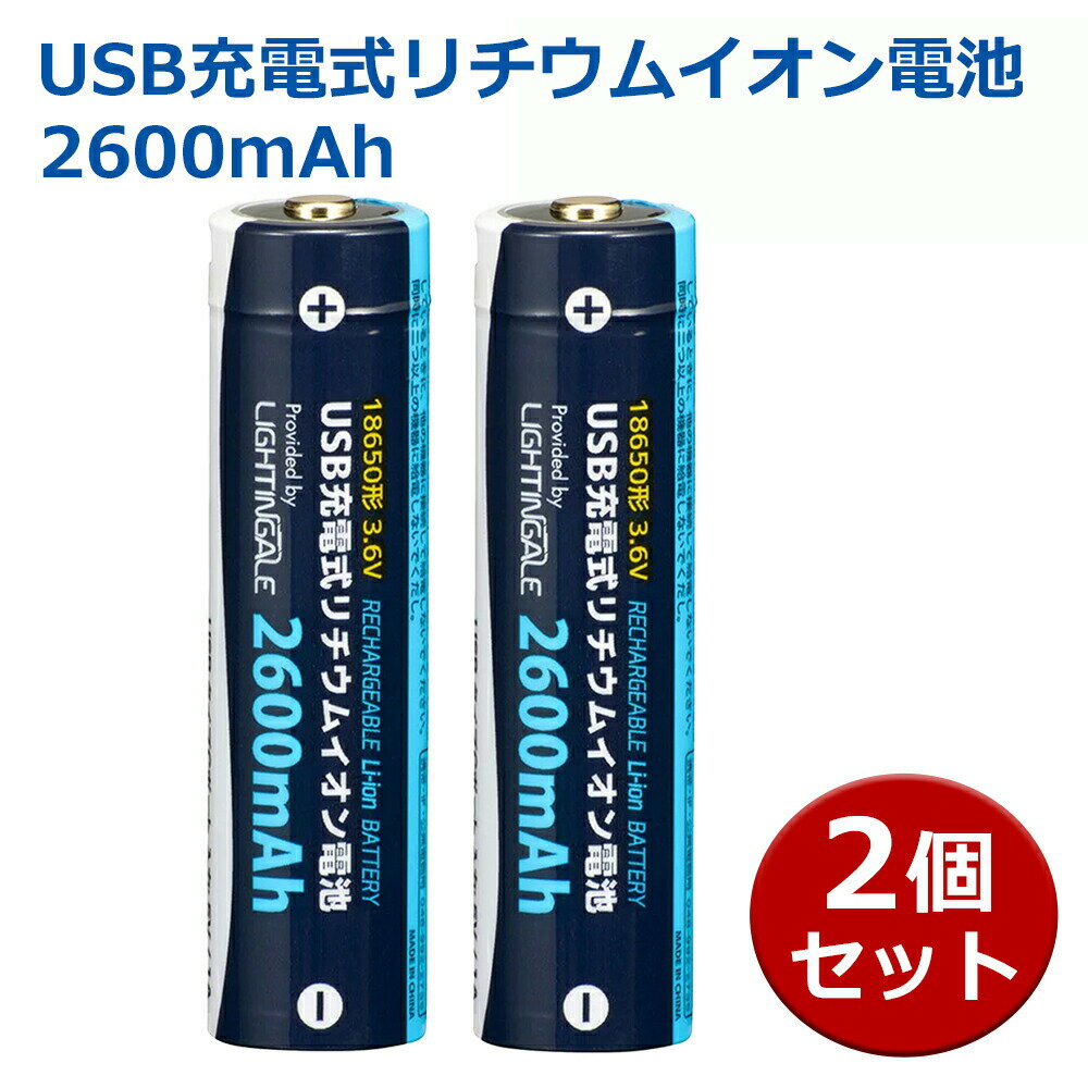 USB充電式リチウムイオン電池 18650電池 2600mAh 2本 OHM 08-1312 BTJ-1865026-LIT ※単3乾電池ではありません メール便送料無料