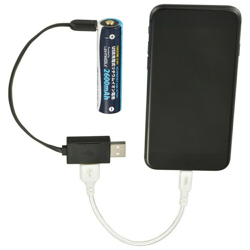 USB充電式リチウムイオン電池 18650電池 2600mAh 2本 OHM 08-1312 BTJ-1865026-LIT ※単3乾電池ではありません 【メール便送料無料】