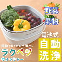 サンコー ラクベジウォッシャー くだもの 野菜 洗浄ボール 振動洗浄機 ULTVEGCWH 【送料無料】 【最強翌日配送】【在庫限り】