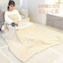【在庫限り】お手軽こたつ ちょいこた コンパクト 折り畳み式コタツ こたつ テーブル こたつセット サンコー TBKTKTSJU 【送料無料】 【最強翌日配送】