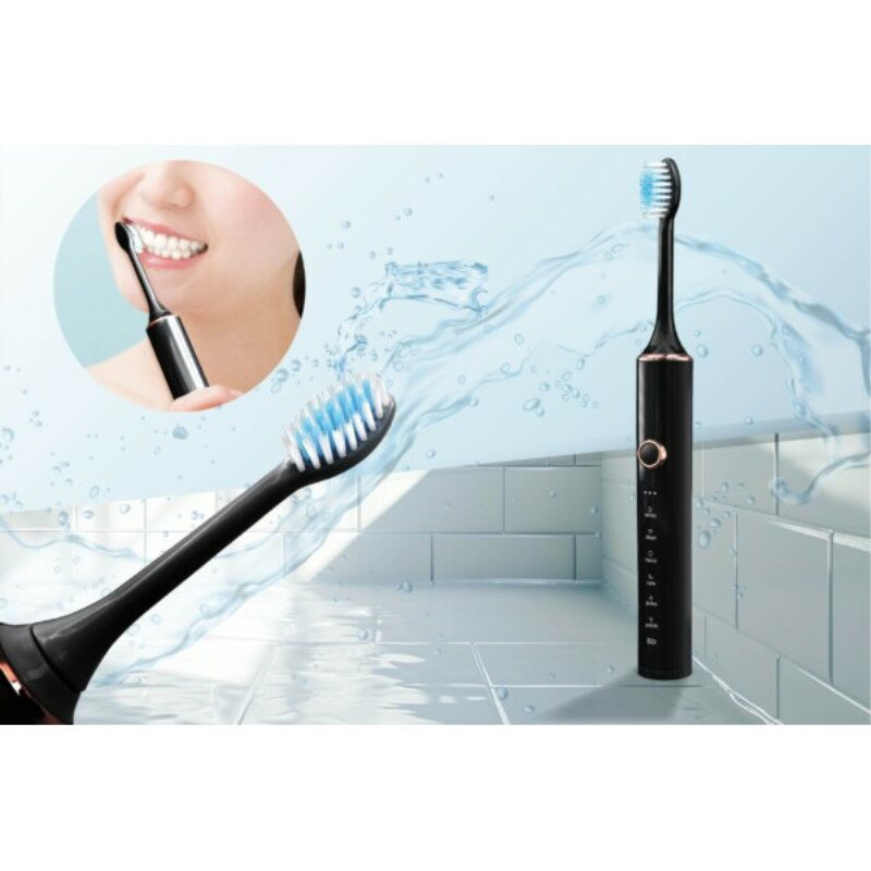 音波電動歯ブラシ ブラック USB充電式 電動はぶらし 専用ブラシ4本付 ハック HAC4354A 【送料無料】 【最強翌日配送】