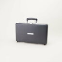 【お取り寄せ】簡易疑似交換機 ANTS-101