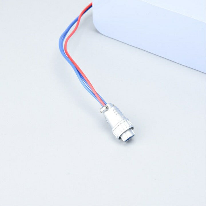 �ڤ����󤻡۸����� 20-M10.0 24V 10AH ǧ��(����������)