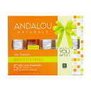 アンダルー ナチュラルズ ゲット・スターテッド・ブライトニング、スキンケア エッセンシャル 5本セットAndalou Naturals Get Started Brightening Kit 5pc