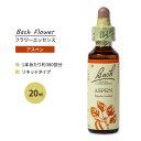 l\ob` ob`IWit[ fB AXy 20ml (0.7floz) Nelson Bach Original Flower Remedy Aspen t[GbZX