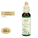 【最大10%OFFクーポン】バッチフラワー レメディ ホリー 20ml (0.7floz) Bach Flower Bach Original Flower R...