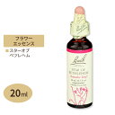 バッチフラワー レメディ スターオブベツレヘム 20ml（0.7floz） Bach Flower