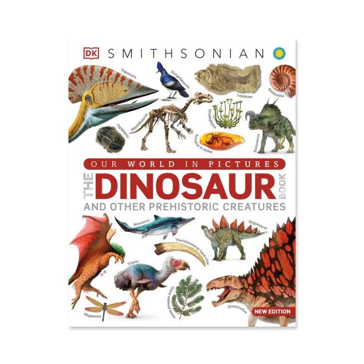 ں10%OFFݥۡνۥ   ԥ㡼  ʥ ֥å [DKOur World in Pictures The D...