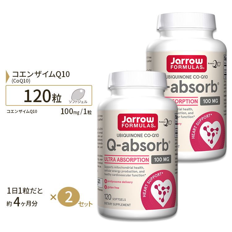 [2ĥå] Q-Absorb 󥶥Q10 100mg 120γ