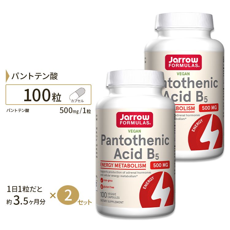 [2ĥå] ӥߥB5 ѥȥƥ 륷 500mg 100γ 3ʬ Jarrow Formulas Pantothenic Acid