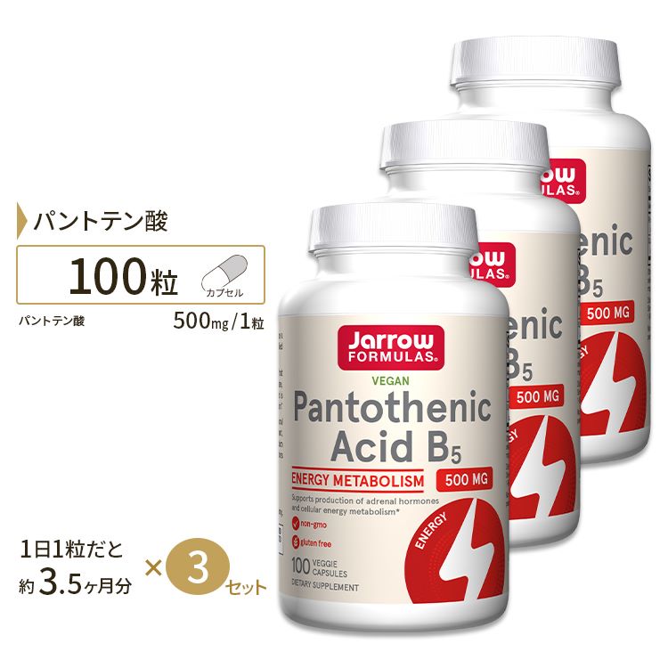 [3ĥå] ӥߥB5 ѥȥƥ 륷 500mg 100γ 3ʬ Jarrow Formulas Pantothenic Acid