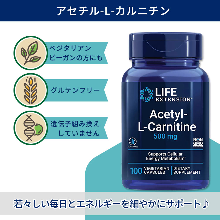 ライフ エクステンション アセチル-L-カルニチン 500mg 100粒 ベジカプセル Life Extension Acetyl-L-Carnitine 500mg 100 vegetarian capsules ビタミンC アミノ酸誘導体 2