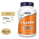 【最大10%OFFクーポン】ナウフーズ L-リジン 500mg 250カプセル NOW Foods LYSINE 500mg 250 CAPS