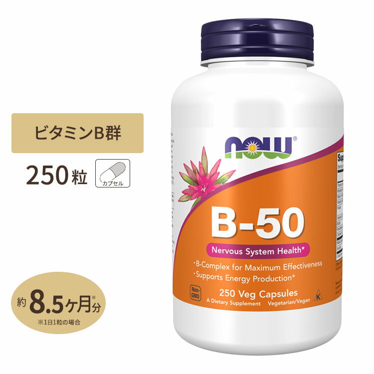 ナウフーズ B-50 サプリメント 250粒 NOW Foods ビタミンB群11種 葉酸 ナイアシン ビオチン パントテン酸 PABA コリン イノシトール お得サイズ ベジカプセル